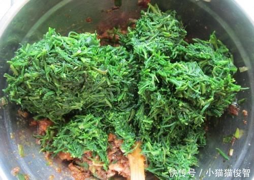 少许|夏天吃饺子,韭菜靠边站,这菜做馅鲜嫩多汁营养好,还能润肠通便