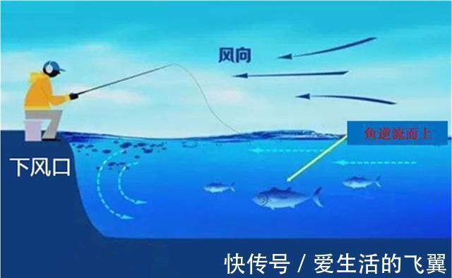 钓鱼|夏秋季节钓鱼，为何要迎风而钓？其实原因很简单：这里是活水