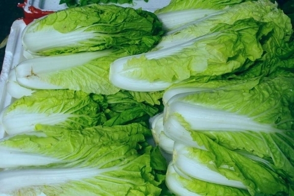 奶奶|70岁奶奶这么包饺子,我吃了好几盘,比肉饺子好吃100倍,特别香