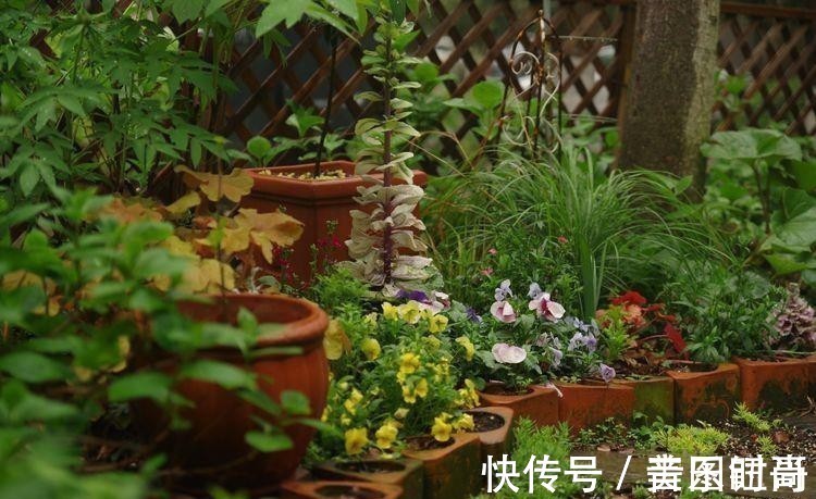 花园|荒废多年的80㎡小院,2年半时间打造成下沉式花园,太漂亮了!