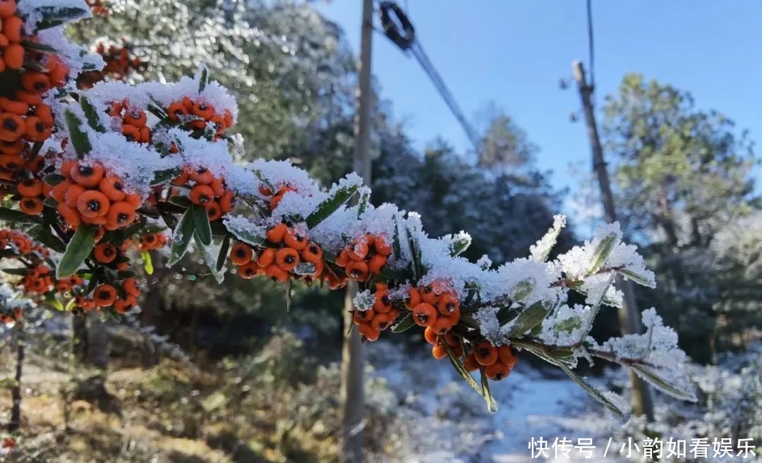 写意天池，童话天子山，一波云龙雪景美图来袭