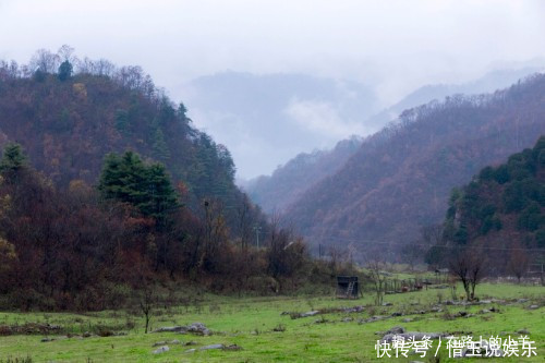 秦岭山中藏着一片草原,牛羊成群却不见主人放养,风景不输新疆