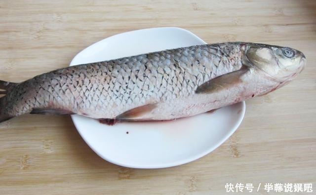 加料酒|草鱼最过瘾的吃法,比酸菜鱼水煮鱼还好吃,做4斤大鱼,上桌就光