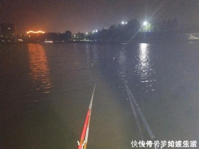 钓大板鲫|昨天第31天夜钓,偶遇一位奇葩钓友,结果12点前几乎没口