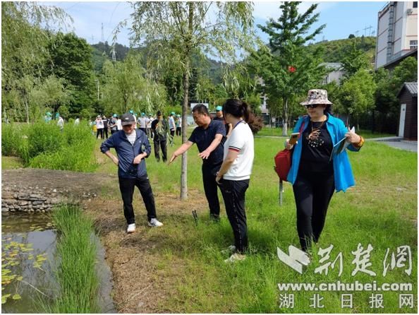 绿水青山就是金山银山|十堰市张湾区高校教授进湿地 共享生态盛宴