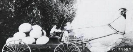 鸡比牛大|百年前美国“浮夸风”的照片：一列火车运一颗土豆，图5鸡比牛大