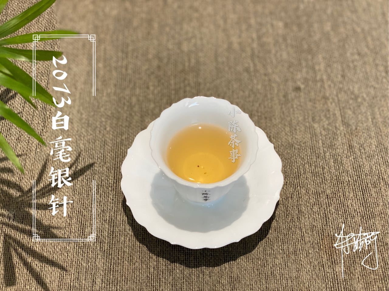 李林甫|老白茶当口粮茶，前几天刚喝过母树大红袍，数数茶圈的奇葩语录