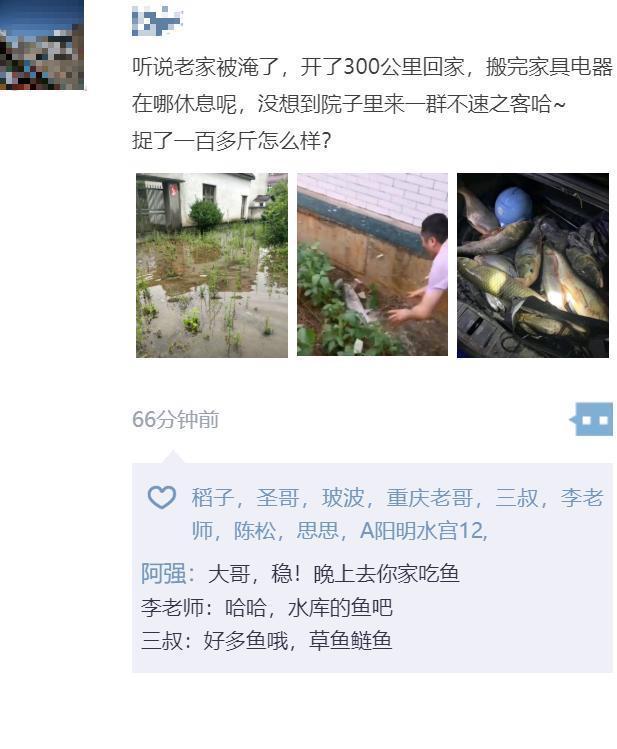 男子|洪水淹没院子,却游来一群鱼,男子:一屋家具换一车鱼