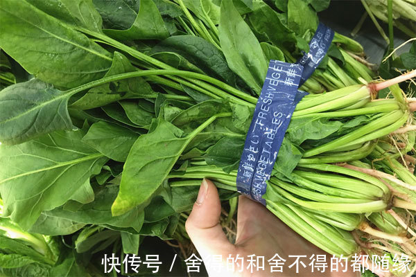 菠菜|五十岁以上女性如何补充体内钙质多吃三种食物,预防骨质疏松