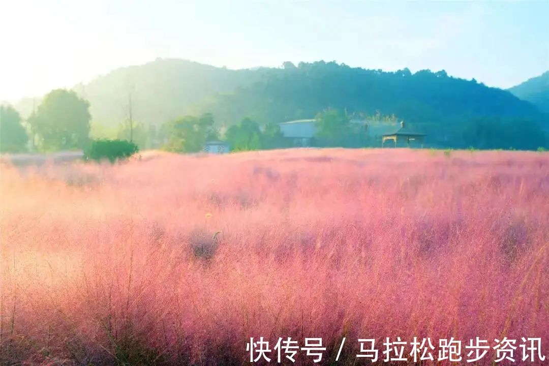 半程马拉松|倒计时2天!2022年首场金牌马拉松新闻发布会及报名即将开启!