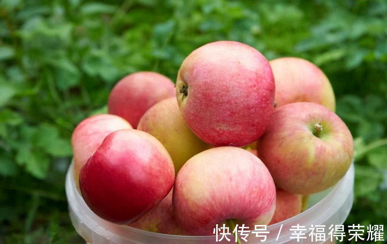 高血脂|每天吃一个苹果,对血脂有什么影响?听一下医生怎么说