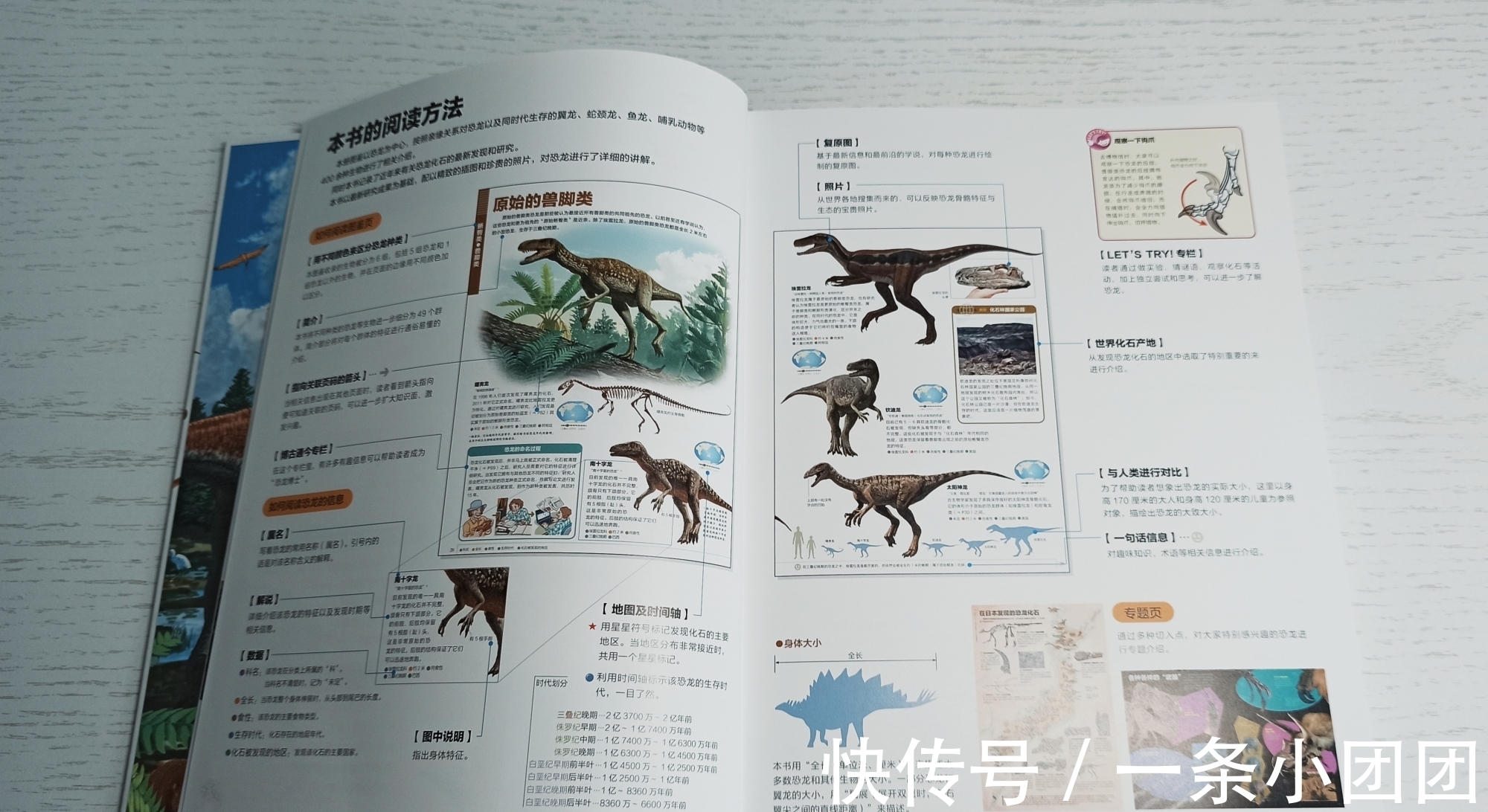 哆啦a梦#一本关于恐龙的百科书,让孩子爱上恐龙的世界