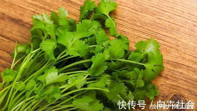 保存香菜有诀窍,菜贩子教我一招,越放越鲜,吃到来年春天没问题