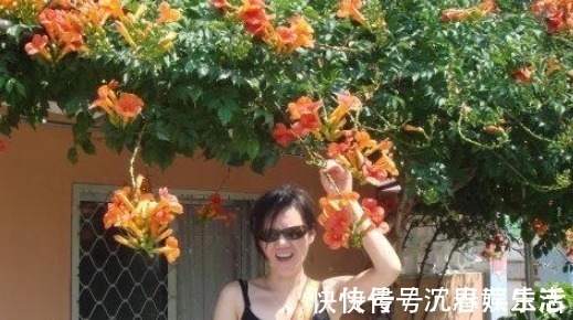 凌霄花|此花俄罗斯进口,一年花开178天,15天长满阳台,还不种一棵