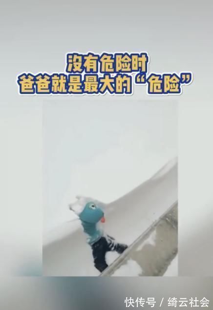 玩雪|孩子纵身一跃，爸爸却在一旁暗自发笑，网友：活着就好！