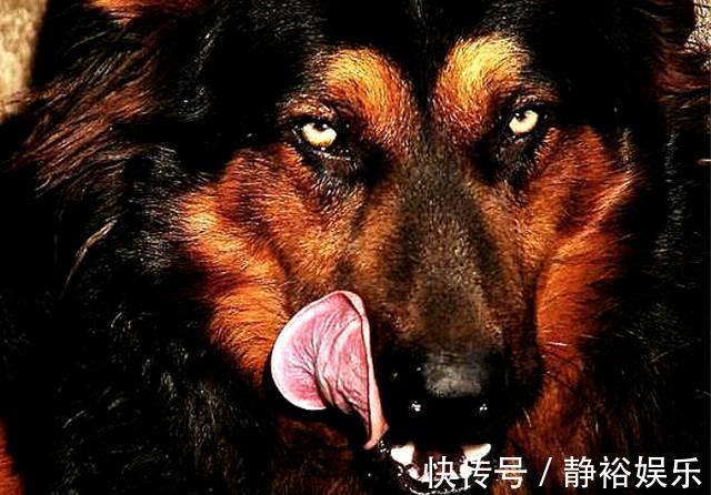 擒凶@清代奇案:小镇三人被害,传言妖物作祟,奇人妙招擒凶,揭穿谜底