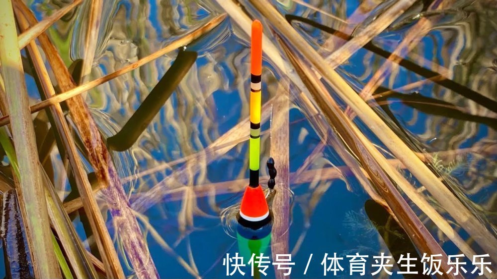 小药|如何寻找鱼窝,教你三种快速找到鱼窝技巧,在鱼窝里钓鱼事半功倍!