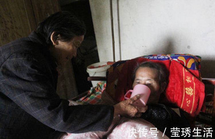 人参|哪些中药,可以提高免疫力以下3味中药,不妨了解一下!