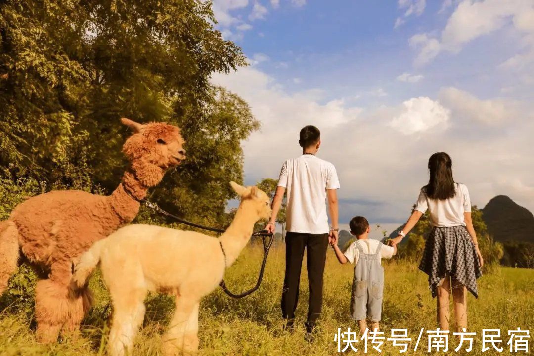 旅宿|隐匿在阳朔20元人民币中风景里的网红民宿，人在画中游丨芒果旅宿