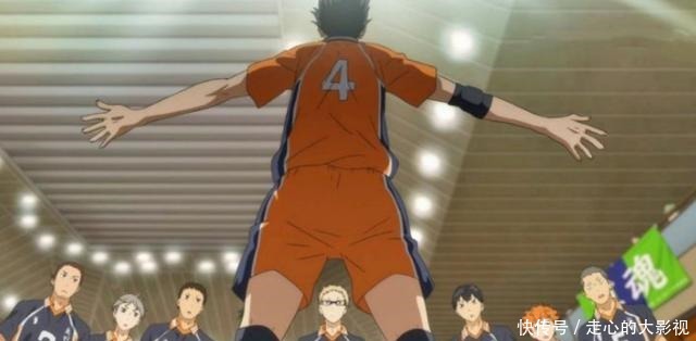 排球少|堪称近年来最强运动番大概这才是青春该有的样子!