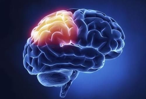 元素|晚上睡不好,失眠加重,或是体内缺少这类营养,不妨尽早调养