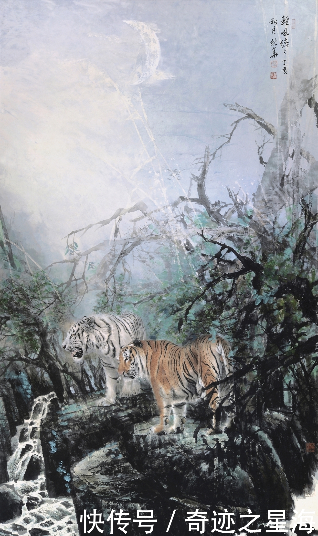 善面|葛新华画虎,善面不失王者风范,柔和不失王者之威