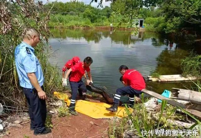 溺亡|鱼竿贵还是命值钱？“捞鱼竿”再酿悲剧！梅州一钓鱼人不幸溺亡