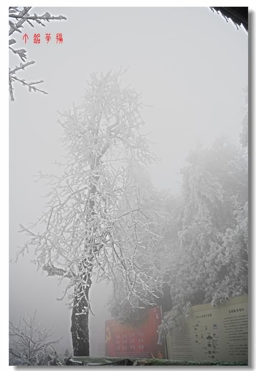 铅山|铅山葛仙山白雪皑皑，犹如冰雪童话世界