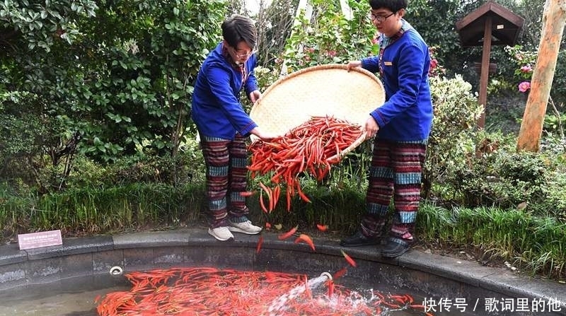 把自己给煮了?《鸳鸯锅温泉》怎么光看就觉得下面痛痛的