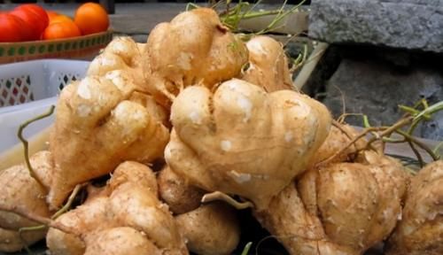 胡醫(yī)師|夏日炎炎，不妨多吃下面幾種食物，清涼消火，淡化雀斑，皮膚水嫩