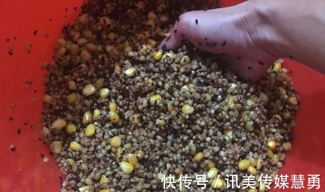 秘诀|玉米钓鱼有秘诀？看别人用就能上钓大鱼，为何你至今一条没钓到