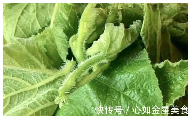瘦身减肥|“天然止泻药”被找到，农村遍地是，消炎止泻，助你轻松过夏天！