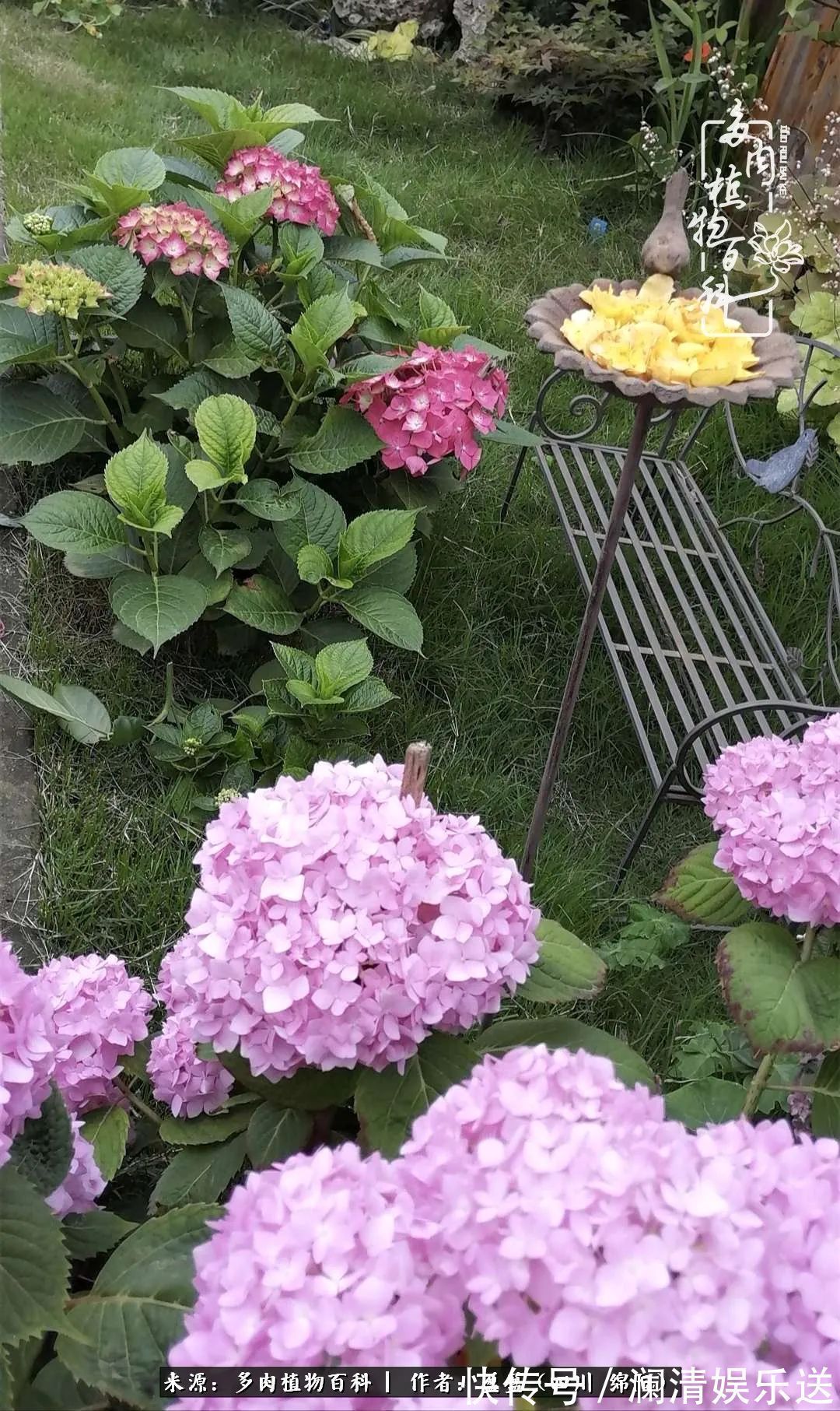 草木|一定要爱着点什么,恰是草木对光阴的柔情!