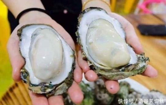 大越|买生蚝,不是越大越好老渔民牢记4点,个个新鲜肥美,不会错