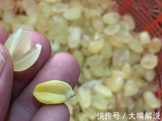 q弹|天然“黄体酮”找到了,女人平时多吃,或助你排毒养颜,更显年轻