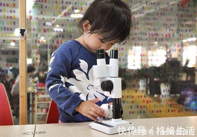 孩子|十年后有出息的孩子,大多都属于这3种类型,看你家娃入列没?