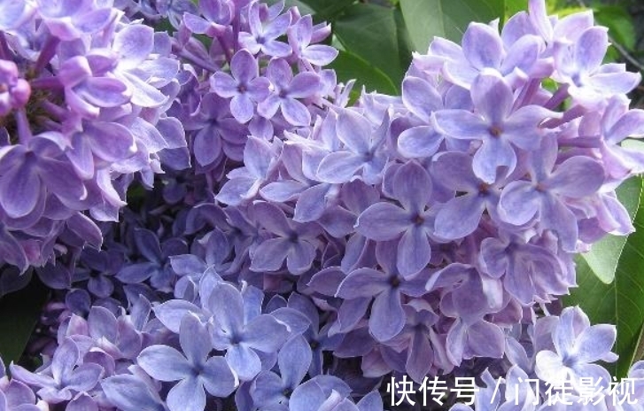 11月2日十二星座运势红榜下 双鱼座运气棒棒哒 贵人运很给力 全网搜 11月2日十二星座运势红榜下 双鱼座运气棒棒哒 贵人运很给力 全网搜