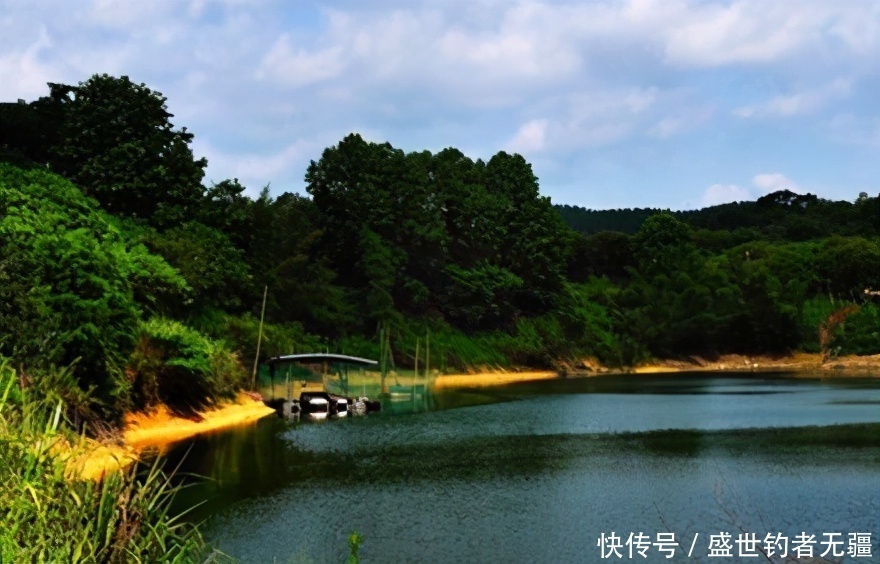 大板|钓鱼高手狂拉大板鲫有绝活,这10个字一年四季都受用——盛世三渔