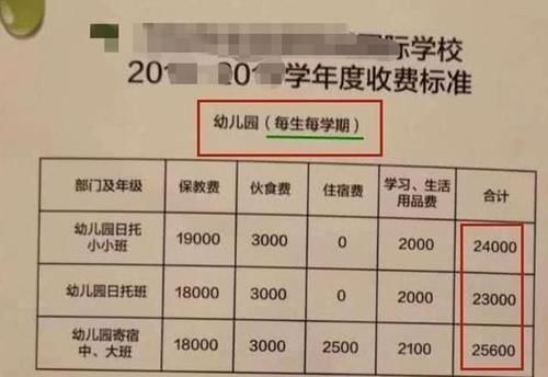 幼儿园学费单曝光，或超很多家庭总收入：确认过眼神，不敢生娃了