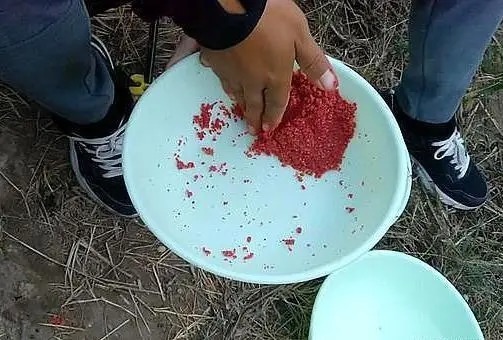 开鲫鱼饵料,不学会“五指打揉法”,饵料状态能好才怪!