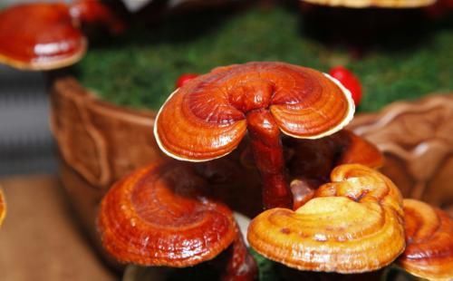 一到冬天肌肤就变差?一招教你毫不费力美回来!