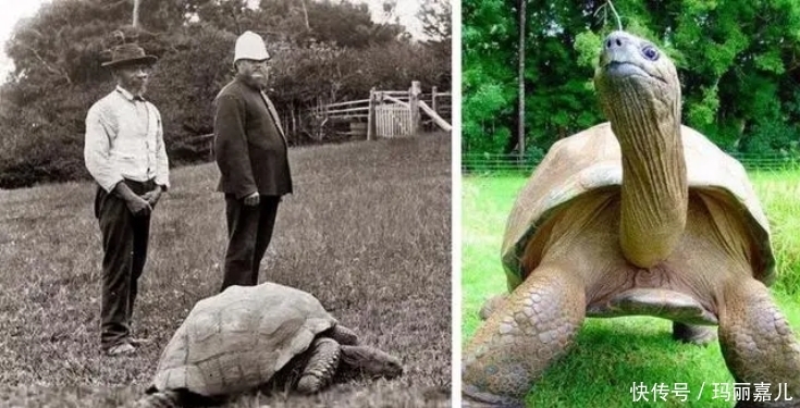 中年|30张过去和现在的对比照片,感受一下时间的力量