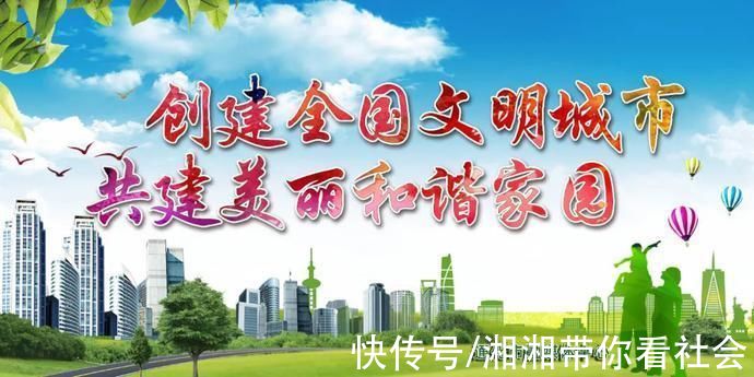 党代表会议|党代表会议与党代表大会的区别