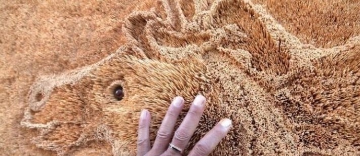 牙签#小伙两千元买五十万根牙签,家人表示疑惑,三个月后成品惊艳众人