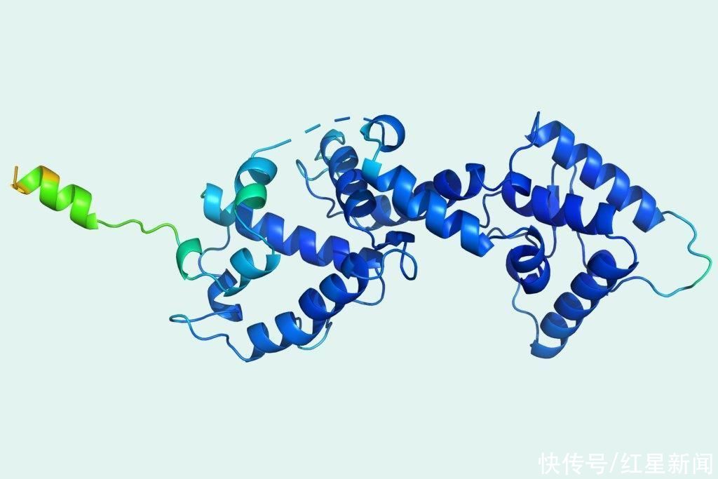 阿尔法|击败李世石的AI公司，又研发出生物版“阿尔法狗”：破解50年生物学难题