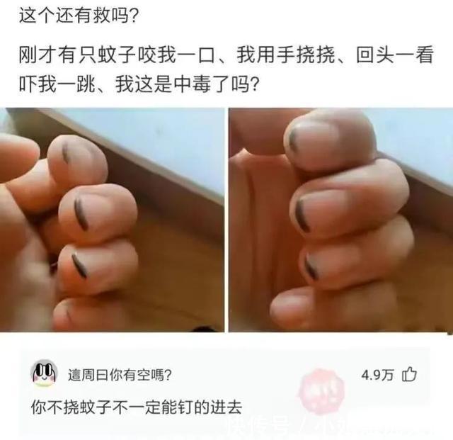 |搞笑合集：这是我的两位表弟，为人圆滑方正，希望能找个对象