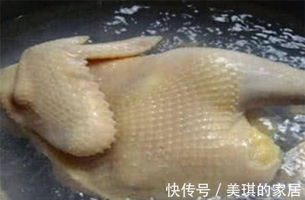 肉质|煮白切鸡时，掌握这个关键步奏，鸡肉又香又嫩，不腥不柴味道鲜