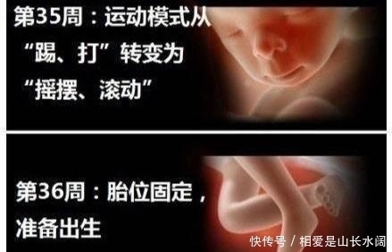 妈妈|怀孕36周，如何洗头发，是在家洗还是去理发店躺着洗？