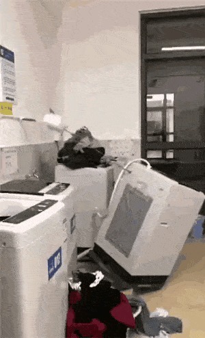 |搞笑GIF:这上厕所的功夫,不敢苟同,不想坐就下去