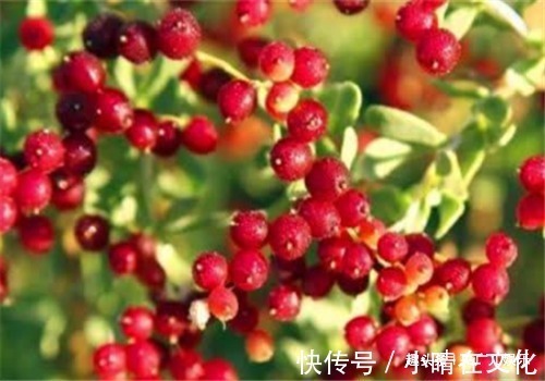 欧米伽3脂肪酸|女性到了40岁,常吃4种食物,美白肌肤,缓解痛经,预防子宫早衰